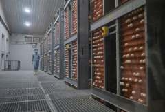 <b>【答卷十四五·央企惠平易近生】从田间到餐桌央</b>