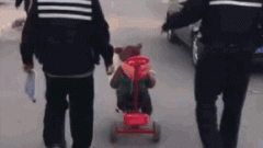 <b>山西：举报食药平安违法案例最高励20万；划线价</b>