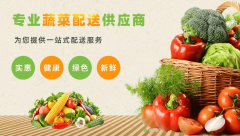 2026年 食堂送菜办事商保举：高效配送取