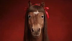 <b>哭哭马、杀猪宴、「姓」张力：笼统文化储藏泼</b>