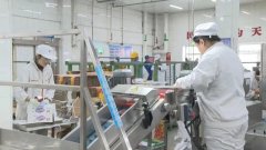 <b><b>绥化望奎：建牢食物平安线 全力保障春节市场供</b></b>